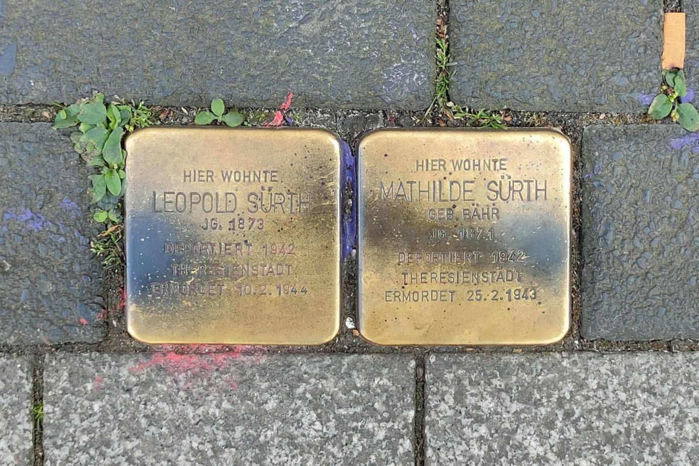 Gegen Schändung der Stolpersteine